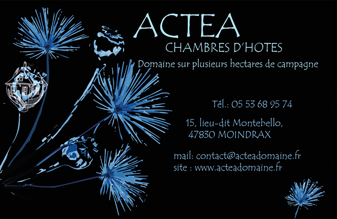 PORTFOLIO : CARTE DE VISITE ACTEA CHAMBRES D'HOTES