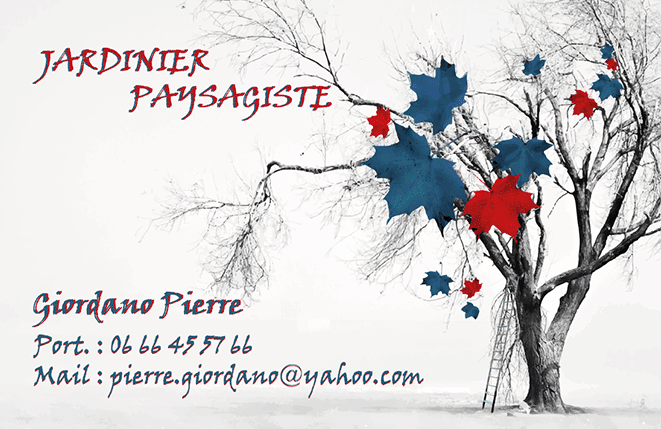 PORTFOLIO : CARTE DE VISITE PIERRE LE JARDINIER