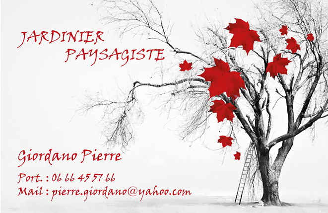 PORTFOLIO : CARTE DE VISITE PIERRE LE JARDINIER