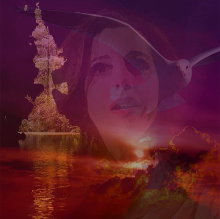 photomontage