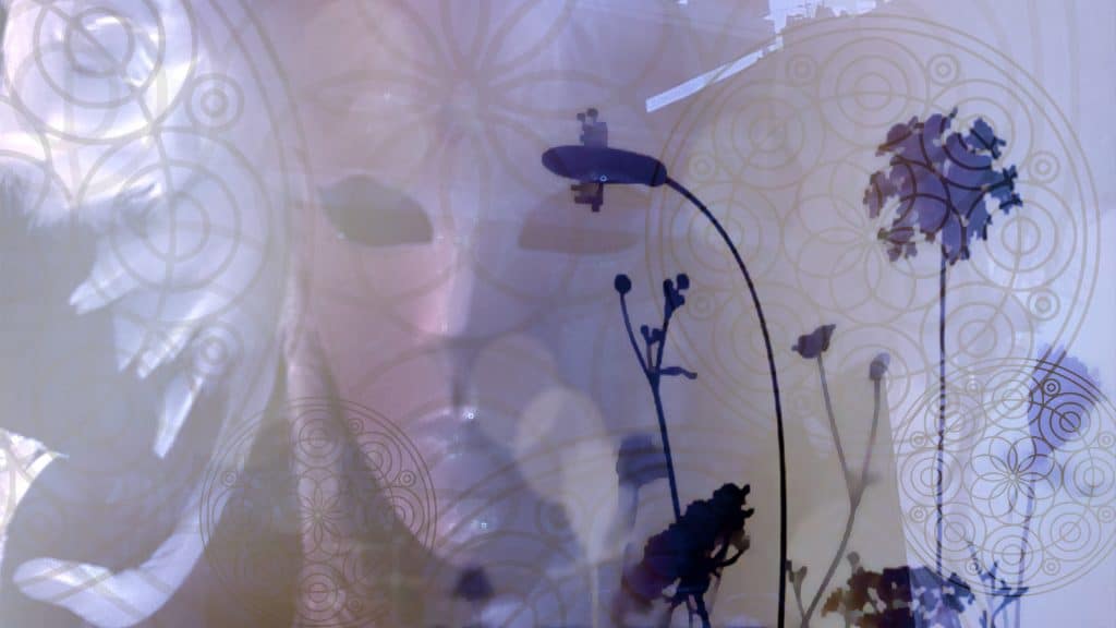 photomontage