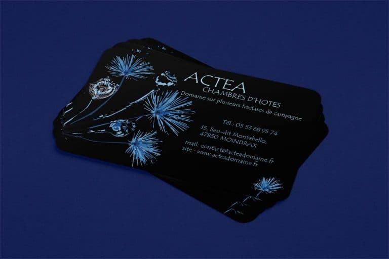 carte de visite mockup chambres d'hôtes